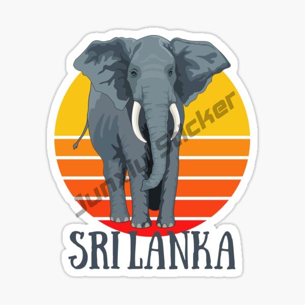 Fashion Car Sticker Sri Lanka  – обзор и цена Laptop Accessories Sri Lanka